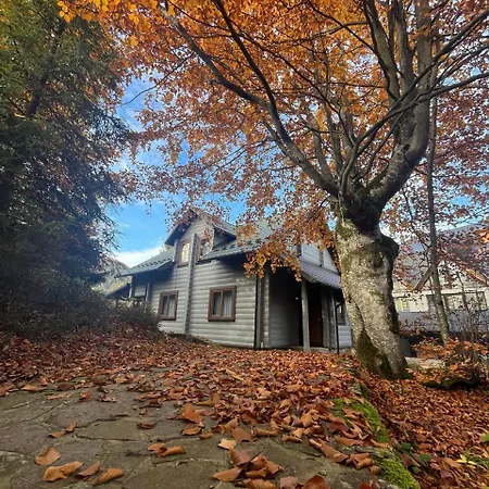 Lodge Gray House Pilipets