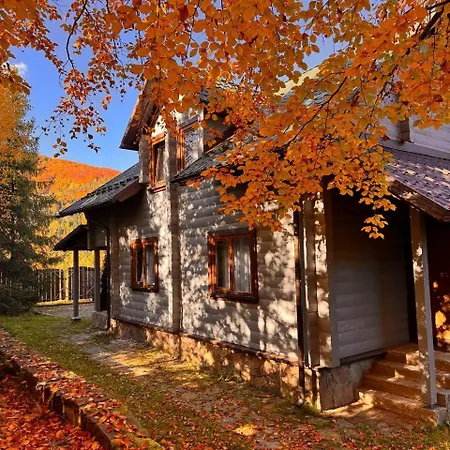 Lodge Gray House Pilipets