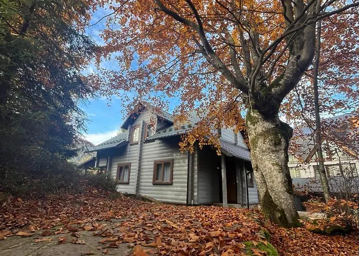 Lodge Gray House Pilipets